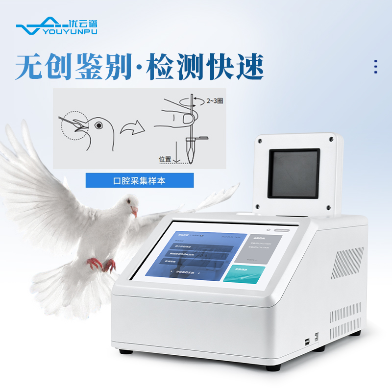 鴿子性別檢測儀